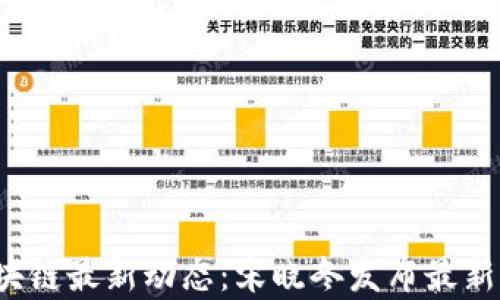 
Oasis区块链最新动态：宋晓冬发布最新消息分析