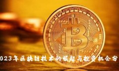 2023年区块链技术的崛起与投资机会分析