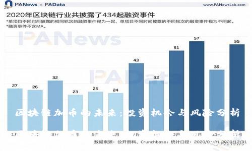 区块链加币的未来：投资机会与风险分析

区块链加币的未来：投资机会与风险分析