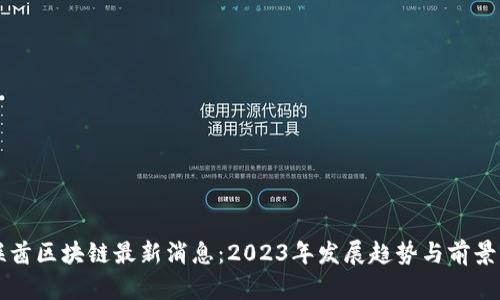 阿联酋区块链最新消息：2023年发展趋势与前景分析