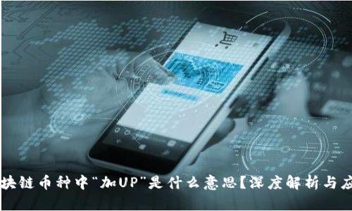 区块链币种中“加UP”是什么意思？深度解析与应用