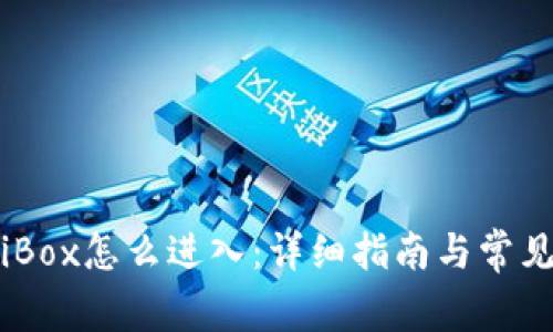 : TP钱包iBox怎么进入：详细指南与常见问题解答