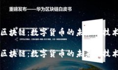 比特币与区块链：数字货币的未来与技术底层解