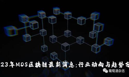 2023年MDS区块链最新消息：行业动向与趋势分析
