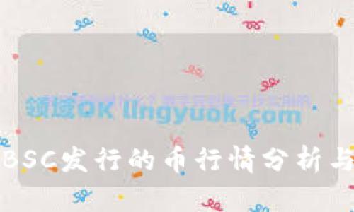 TP钱包中BSC发行的币行情分析与投资指南