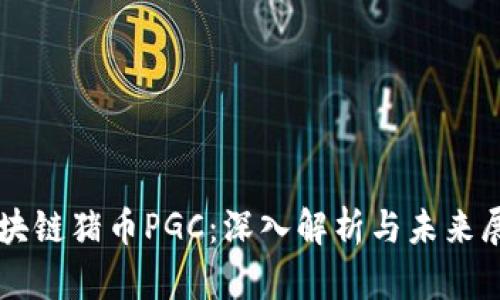 区块链猪币PGC：深入解析与未来展望