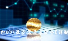 TP钱包质押DOT最少需要多少个？详解质押要求