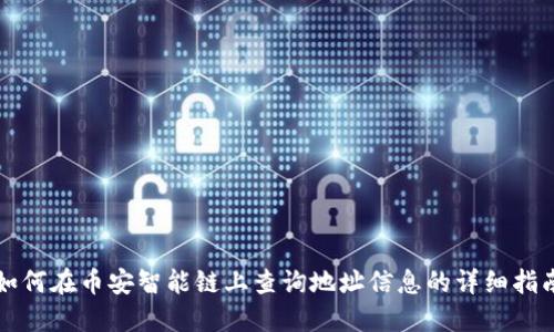 如何在币安智能链上查询地址信息的详细指南