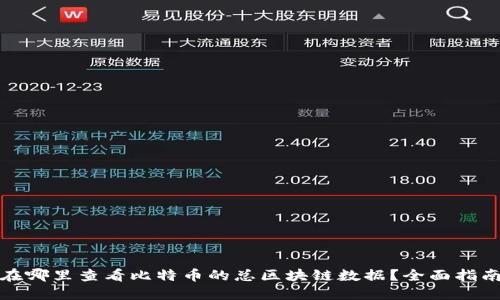 在哪里查看比特币的总区块链数据？全面指南