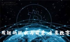 优质区块链应用链的现状与前景：主要数字资产