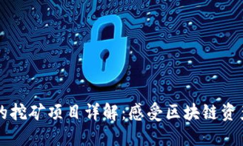 TP钱包的挖矿项目详解：感受区块链资产的魅力