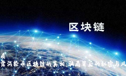 优质
揭露涡轮币区块链的真相：骗局背后的秘密与风险