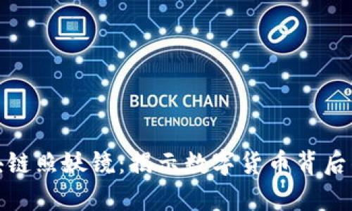 比特币区块链照妖镜：揭示数字货币背后的真实面貌