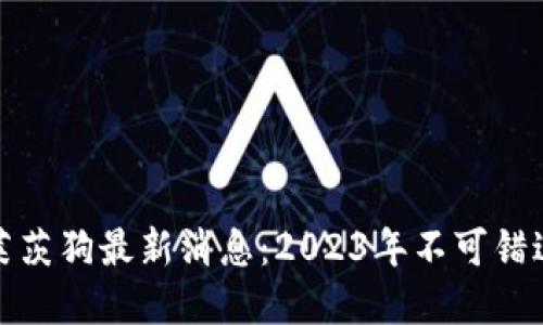 百度区块链莱茨狗最新消息：2023年不可错过的投资机会