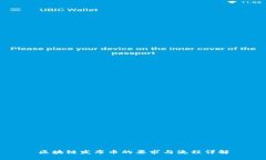 区块链发布币的要求与流程详解