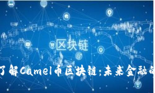 深入了解Camel币区块链：未来金融的关键