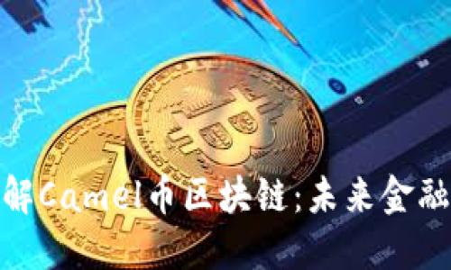 深入了解Camel币区块链：未来金融的关键