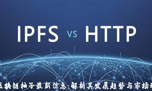 
  区块链柚子最新信息：解析其发展趋势与市场动态