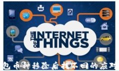 TP钱包币种移除后找不回的应对策略