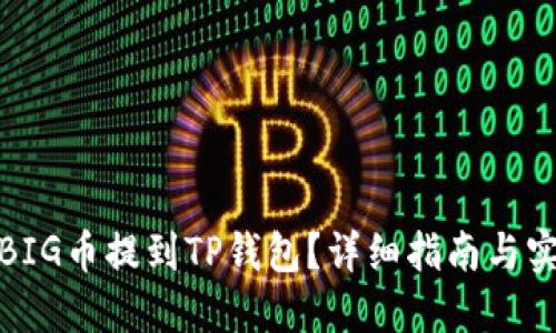 如何将BIG币提到TP钱包？详细指南与实用攻略
