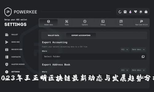 2023年王正明区块链最新动态与发展趋势分析