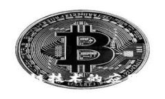 鲁赛币区块链技术的应用与前景分析