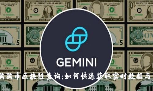 briaoti狗狗币区块链查询：如何快速获取实时数据与交易信息