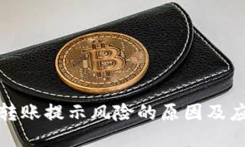 TP钱包转账提示风险的原因及应对策略