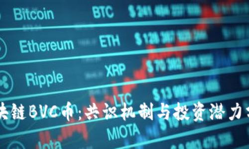 区块链BVC币：共识机制与投资潜力分析