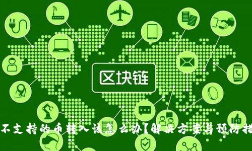 TP钱包不支持的币转入该怎么办？解决方案与预防措施详解