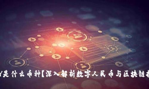 区块链CNY是什么币种？深入解析数字人民币与区块链技术的结合