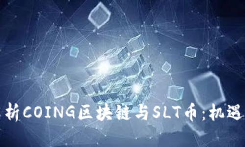深入解析COING区块链与SLT币：机遇与挑战