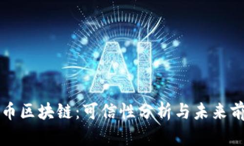 无币区块链：可信性分析与未来前景