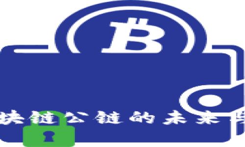 TYB币：区块链公链的未来与应用解析