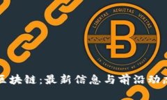 沙龙区块链：最新信息与前沿动态解析