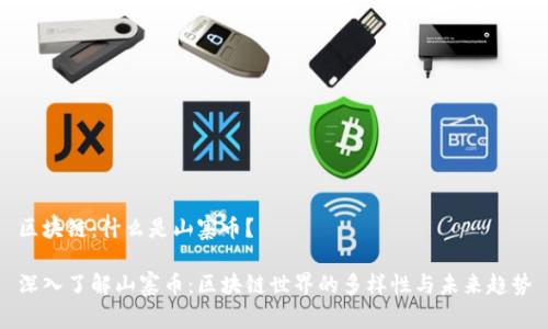 区块链：什么是山寨币？

深入了解山寨币：区块链世界的多样性与未来趋势