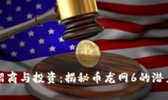 区块链招商与投资：揭秘币龙网6的潜力与价值