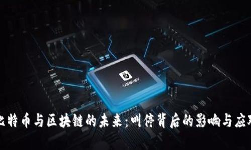 比特币与区块链的未来：叫停背后的影响与应对